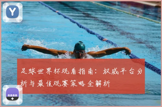 足球世界杯观看指南:权威平台分析与最佳观赛策略全解析