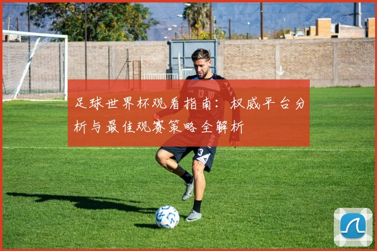 足球世界杯观看指南:权威平台分析与最佳观赛策略全解析